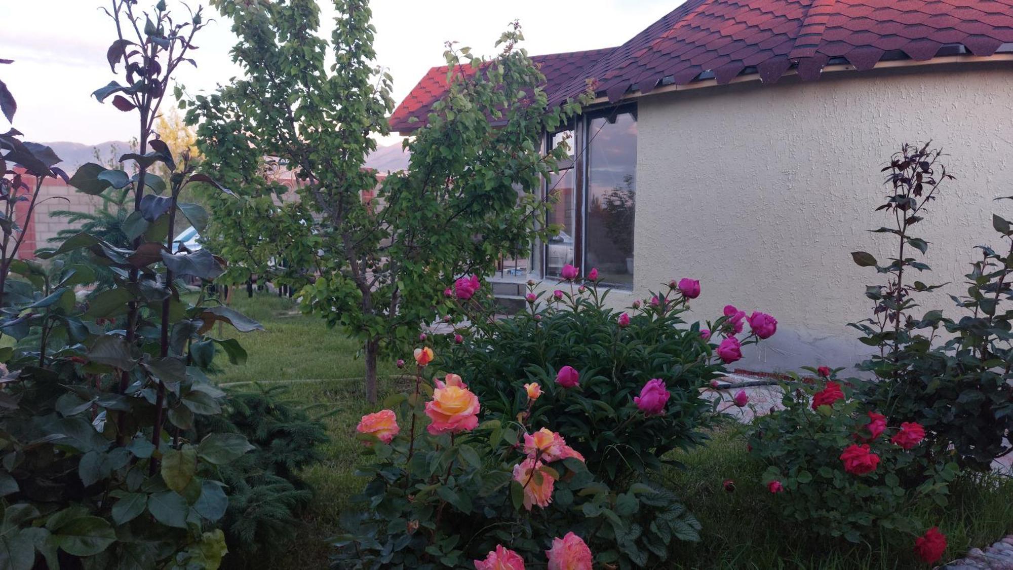 Bokonbayevo Svetlana Guest House מראה חיצוני תמונה