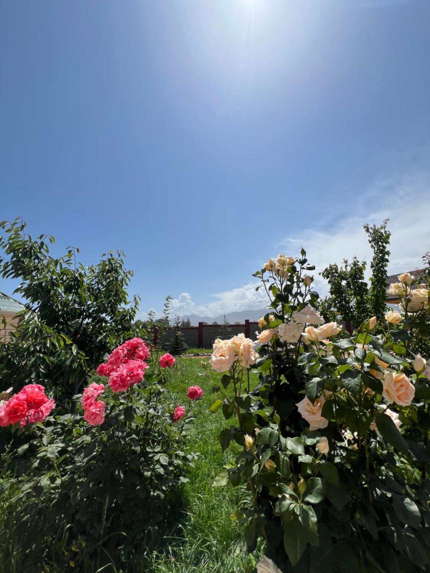 Bokonbayevo Svetlana Guest House מראה חיצוני תמונה